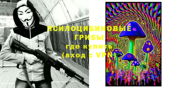 тгк Болхов