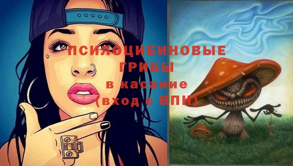 прущий лед Богородицк