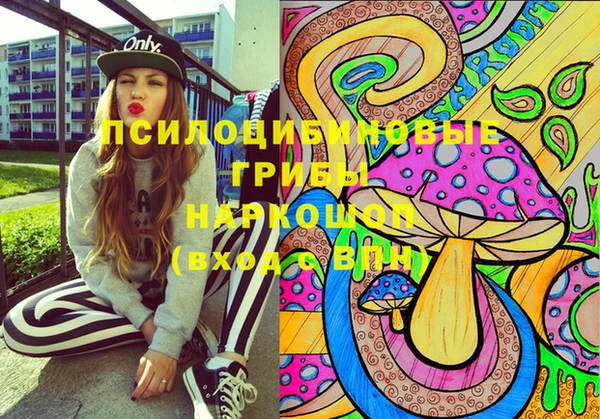 прущий лед Богородицк