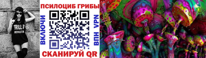 Галлюциногенные грибы Psilocybine cubensis  Гатчина 