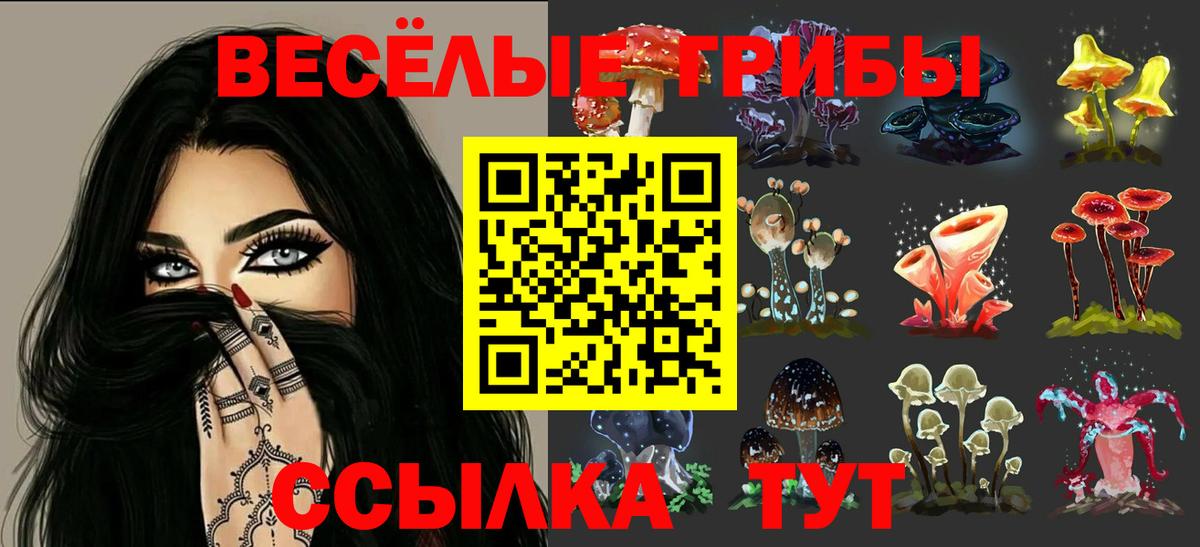 Псилоцибиновые грибы MAGIC MUSHROOMS  Вход с VPN  Гатчина  Галлюциногенные грибы Psilocybe 